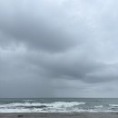 갯마을차차차 | 포항 갯마을차차차 촬영지 신선도횟집 내돈내산 후기 리뷰