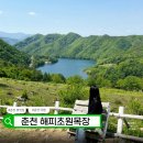 안초원 목장 | 현지 닭갈비 맛집부터 의암호 출렁다리, 해피초원목장까지 내돈내산 후기 여행, 한국의 스위스 강원도 춘천