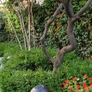 시읽고쓰는즐거움 이미지