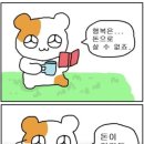 르모엘 네이버블로그