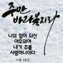 샬롬