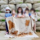 동영유치원 이미지