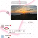 세화농장 | [나애 일기 짱] JEJU