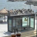 감포 바닷가 민박 펜션 이미지