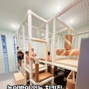 치킨매니아 파주운정점 이미지