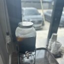 고넉담