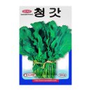 씨앗 - 남양주시 덕소로116번길 11 | 씨앗