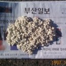 내덕농장 이미지