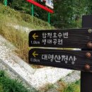 탑정호가 이미지