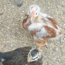 이고농산 이미지