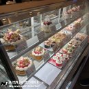 298 | 오사카 워홀 D+293~298 아무드 쇼핑후기/ 혼자보낸 크리스마스/ 츠텐카쿠 맛집 규카츠 다이후쿠