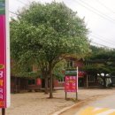 노루목민박 이미지