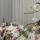 딸부잣집 | 바쁘다 바빠 알찬 가방순이 후기 역할 가방 준비물 숭의 아레나 파크 웨딩