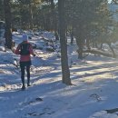 Black Body Pt Gym 이미지