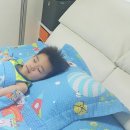 [키즈맘/나이스필 ]자연주의 피그먼트 침구의 명가 나이스필 우주여행 블루 S 차렵세트로 시원하고 건강...