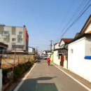 영해초등학교 앞 이미지