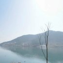 바닷가앞30평 이미지