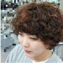 파마머리 Daum카페