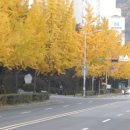 산본중앙공원 이미지