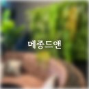 언픽 | 전주맛집 신시가지 브런치뷔페 메종드앤