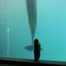 토담목장 | 거제도 가족 여행 둘째 날 이야기/ 숲소리 공원, 식도락 여행