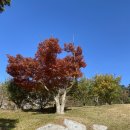 청풍호로 7길 | [킹즈락CC] 제천의 기암괴석 암반위에 내려앉은 코스의 킹즈락CC(구.힐데스하임CC) 후기와 주변 맛집