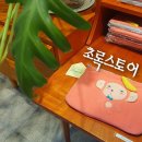 종려나무사진관 | 남해 여행 기념으로 뭘 살까? 소품샵 초록스토어 방문기