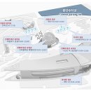 정문슈퍼 - 음성군 | 정문슈퍼