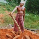 세계농장 이미지