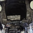 대한부란자 이미지