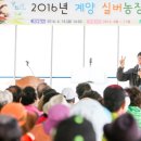 송영길농장 네이버블로그