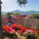 완산공원(아래) 이미지