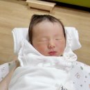 항원정 | (ᓀ‸ᓂ) [출산/입원] 미즈제일여성병원 제왕절개 출산 후기