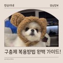만수무강약국 | 소중한 반려동물 건강 지키기, 구충제 복용방법 완벽 총정리