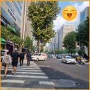 강남우리공인중개사사무소 이미지