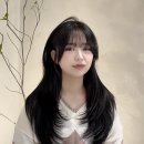 무이헤어 - 사천시 | 무이헤어