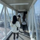 신구담농장 | 제주 (제주 대나무집,카페미와,불특정식당,카페공백)
