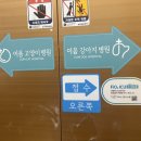 이음동물병원