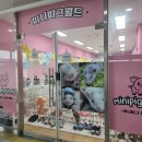 카페203미니