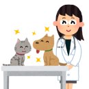 성남동물병원 이미지