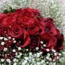 진자농장 이미지