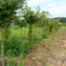 갯벌농장 이미지