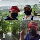 옥정 메타세콰이아길 이미지