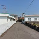 표선리-13 이미지