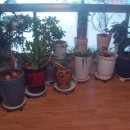 자연횟집 이미지