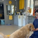 올바로 교육문화센터 이미지