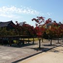 교가5리 | 만석거와 만성공원 가을풍경