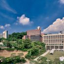 01-33 동구 이미지