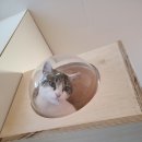 호텔고로롱 이미지