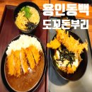 부타돈카츠(도꼬돈카츠) | 도꼬돈부리 용인 동백 맛집 돈까스 카츠에비동, 카레, 우동 가족외식 다녀왔어요